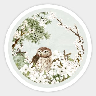 Little Owl Sticker